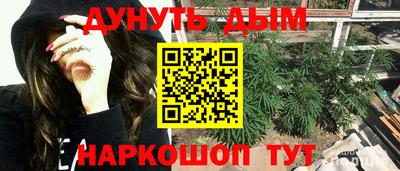 гидра Новокубанск