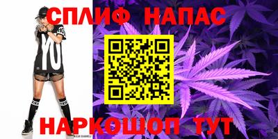 гидра Новокубанск