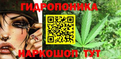 гидра Новокубанск